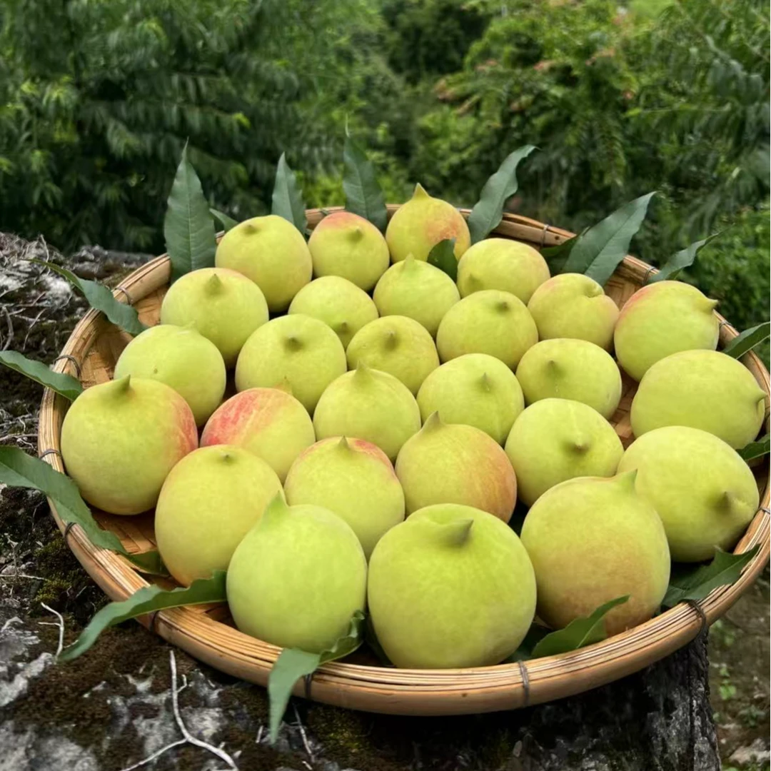 鹰嘴桃10元3斤广东省