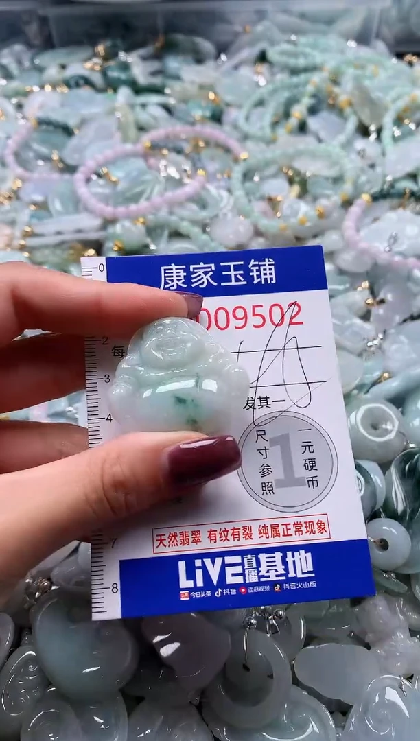 翡翠未镶嵌吊坠(不含链)9502