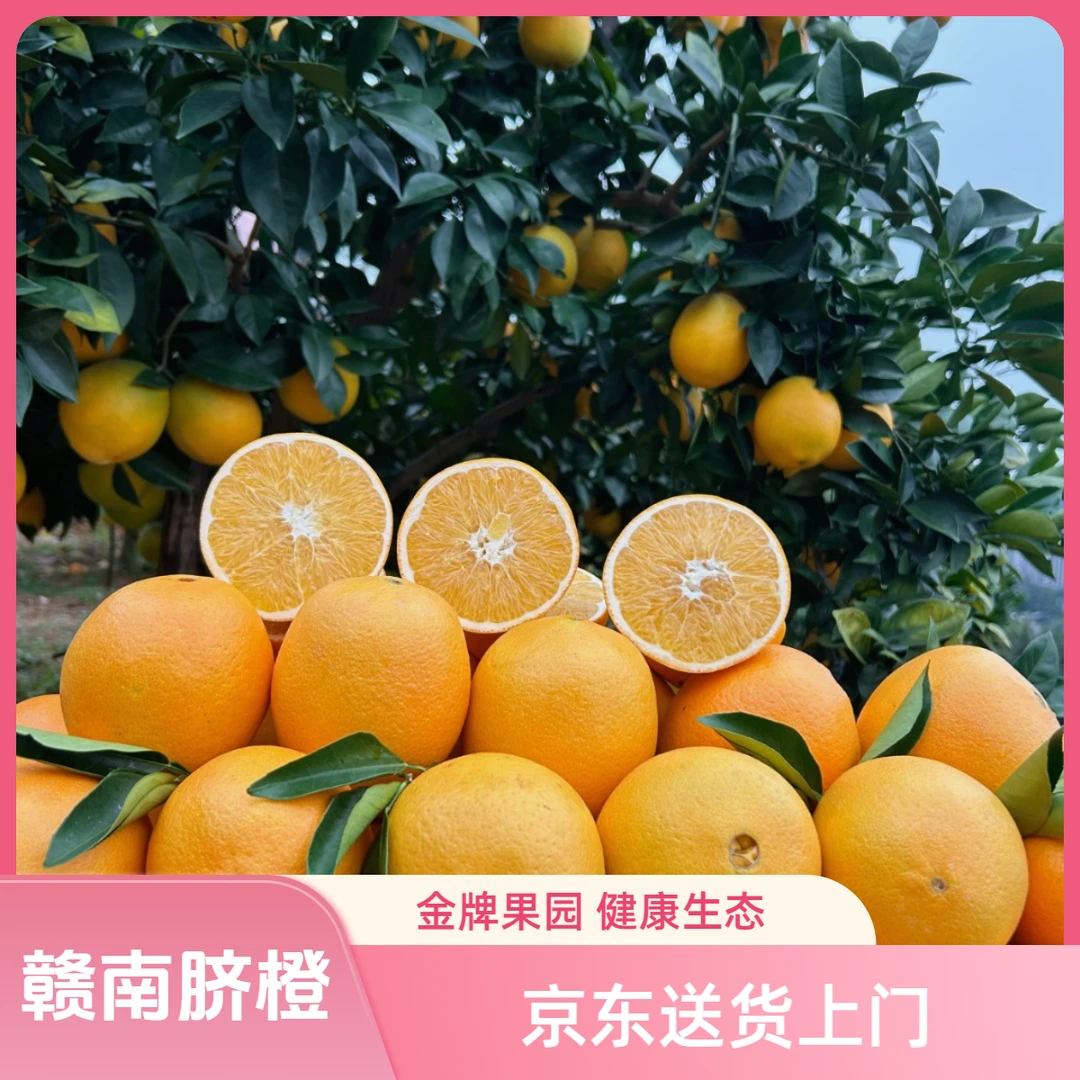 【新鲜采摘】信丰赣南脐橙高端精品装橙香浓郁皮薄肉厚