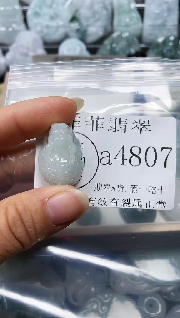 【闪购商品】翡翠颈饰未镶嵌闪购4807