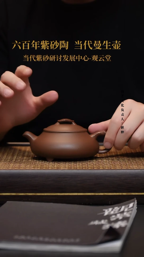 茶壶紫砂宜兴紫砂壶简瓢