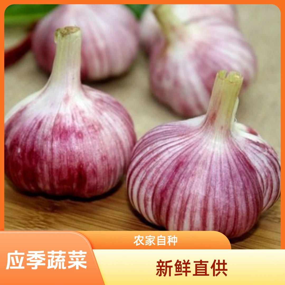 5干蒜农家自种应季蔬菜紫白皮多瓣大蒜头香辣多汁可腌糖醋蒜
