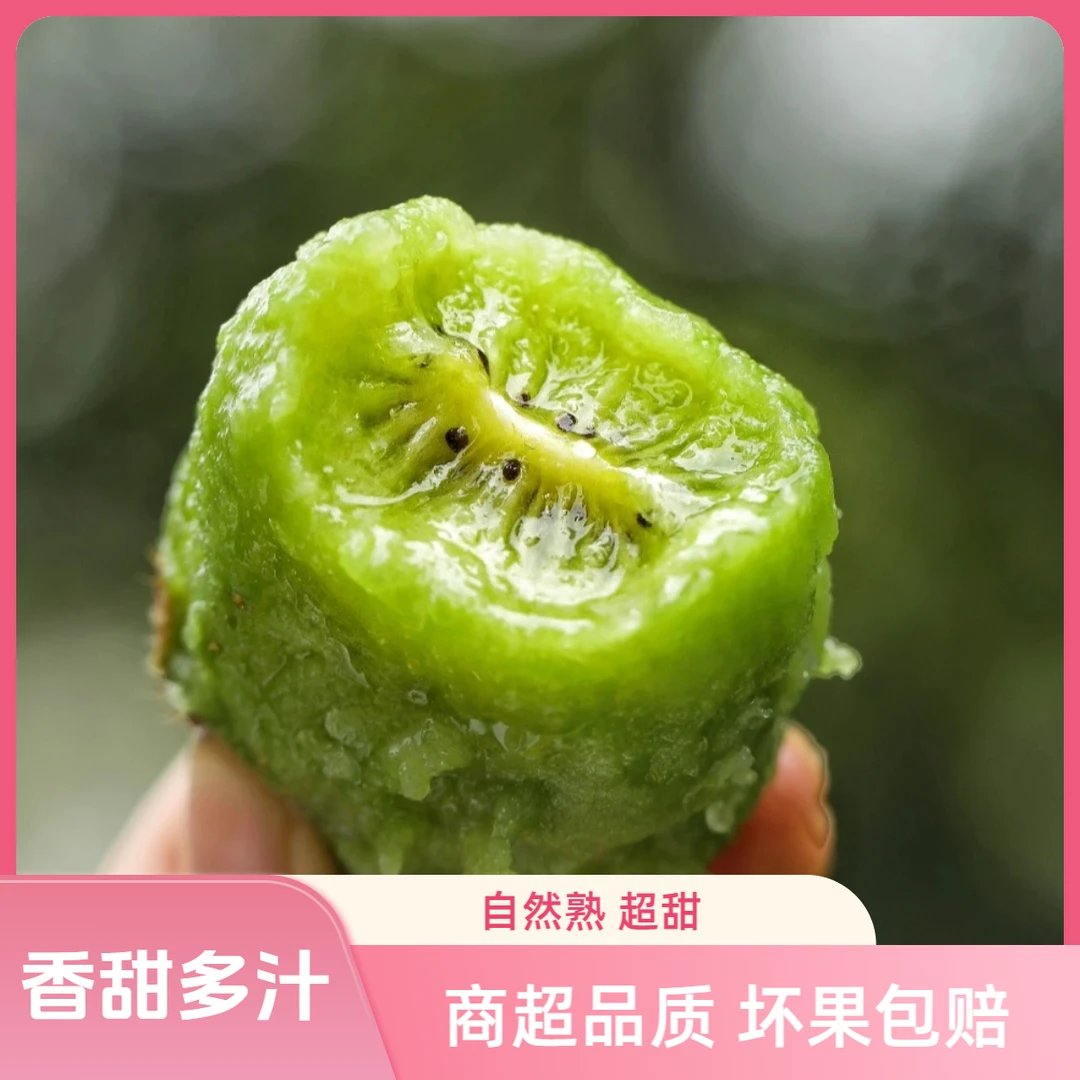 【徐香】正宗徐香猕猴桃奇异果新鲜产地直发皮薄多汁维C当季鲜果