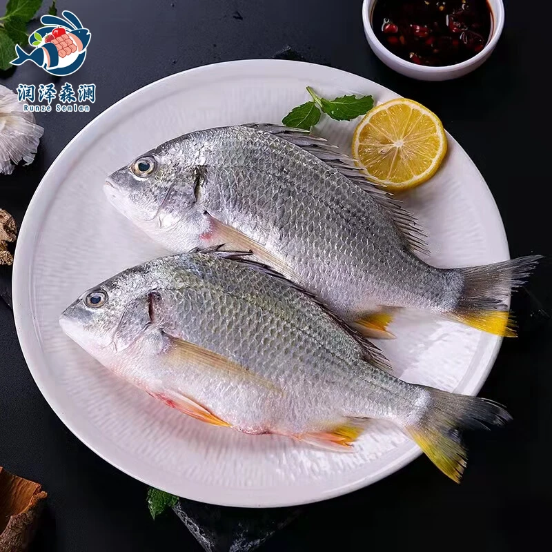 「潮丰源水产」深海石斑鱼+下钓黄脚立 套餐