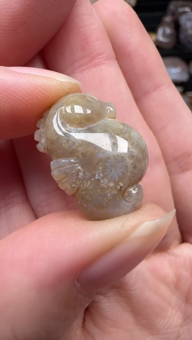 颈饰未镶嵌硅化珊瑚（珊瑚玉）781