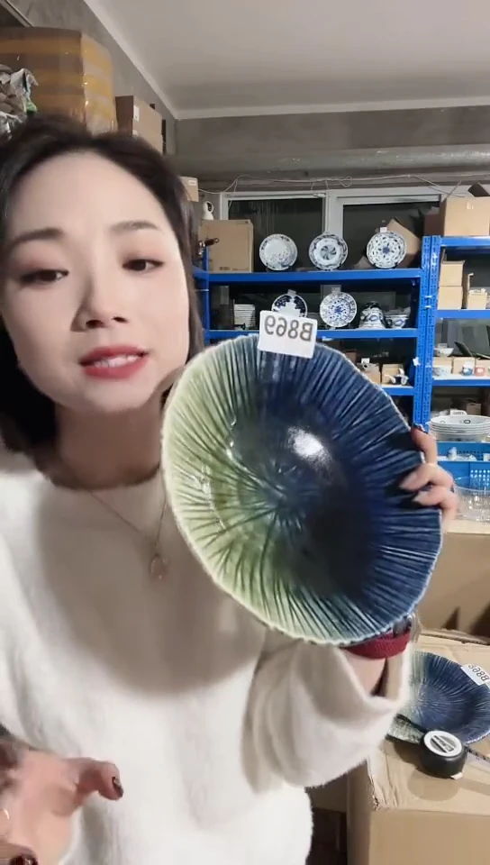 【闪购商品】瓷片日本进口瓷器织布烧23CM钵B869
