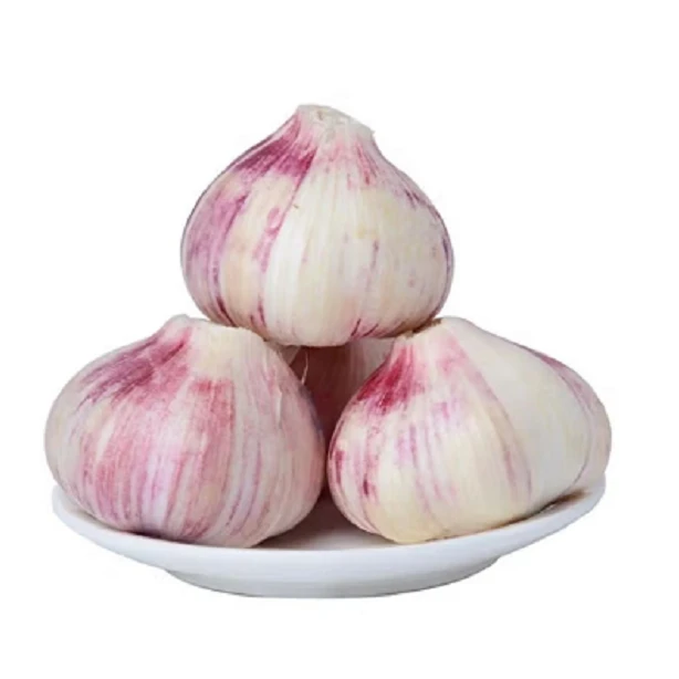 【五单十单拍】拍一单到手3头大蒜共约100g紫皮干大蒜头农家新鲜蒜