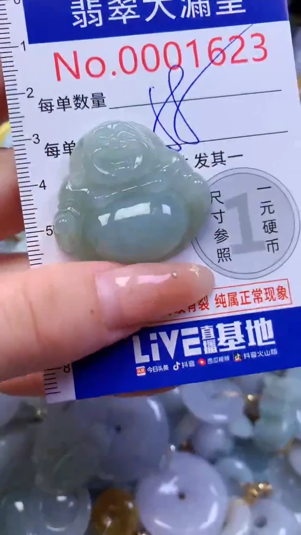 翡翠未镶嵌吊坠(不含链)1623