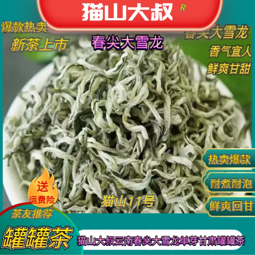 【猫山11号】2025新茶云南春尖大雪龙单芽西北兰州天水甘肃罐罐茶