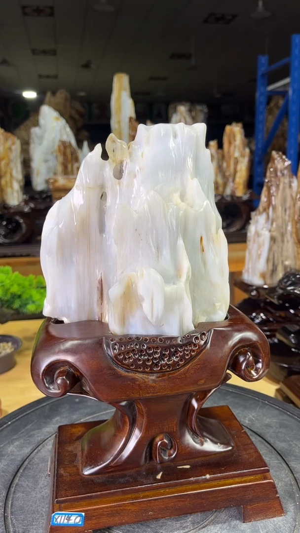 硅化玉珠宝奇石未镶嵌手****0350