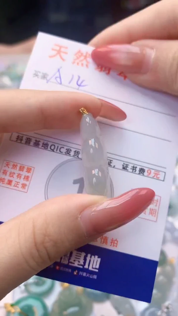 颈饰未镶嵌翡翠纯天然翡翠A货挂件