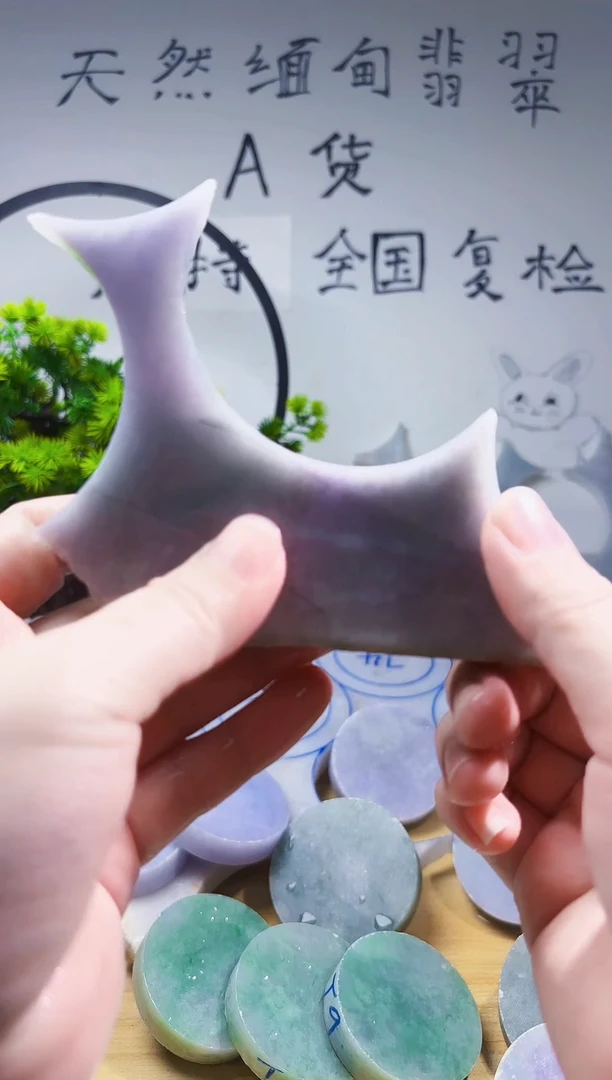 颈饰未镶嵌翡翠翡翠A货 谭715