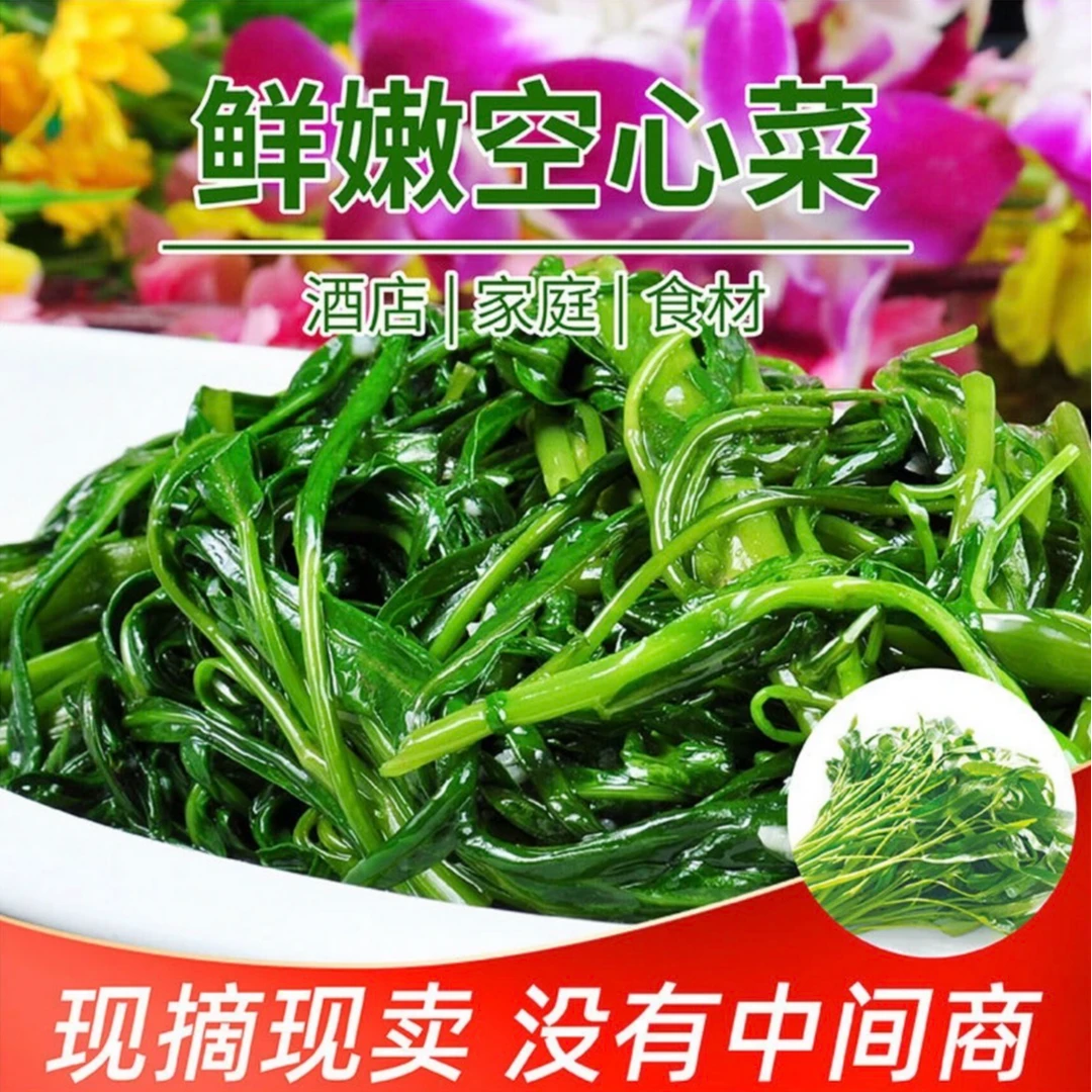 【挑幺挑六】甄选空心菜新鲜上市早春空心菜1-4斤现采现摘包邮上门