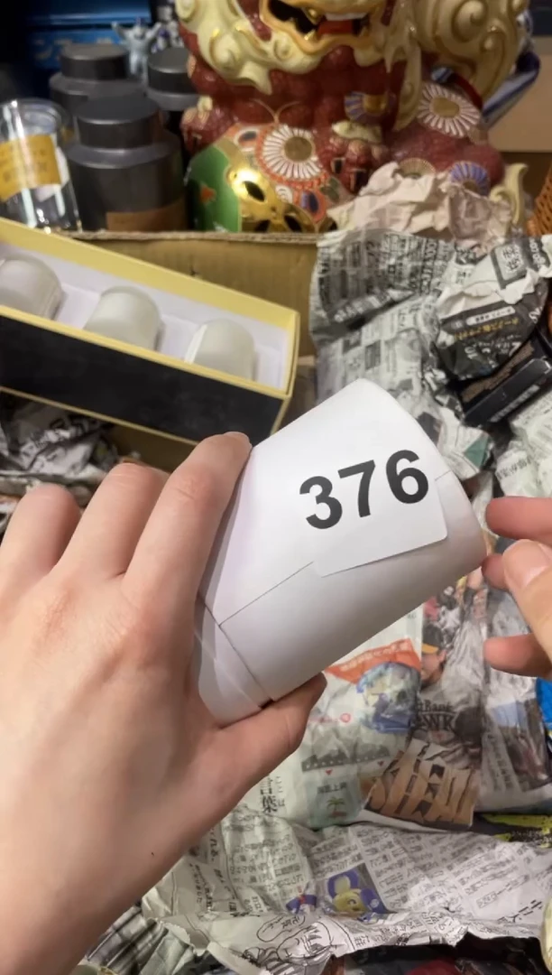 瓷片376 白色天空SRL