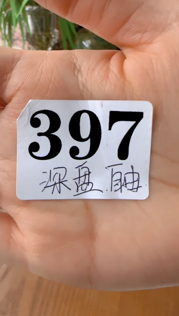 坎***进2个深盘盘子瓷***************