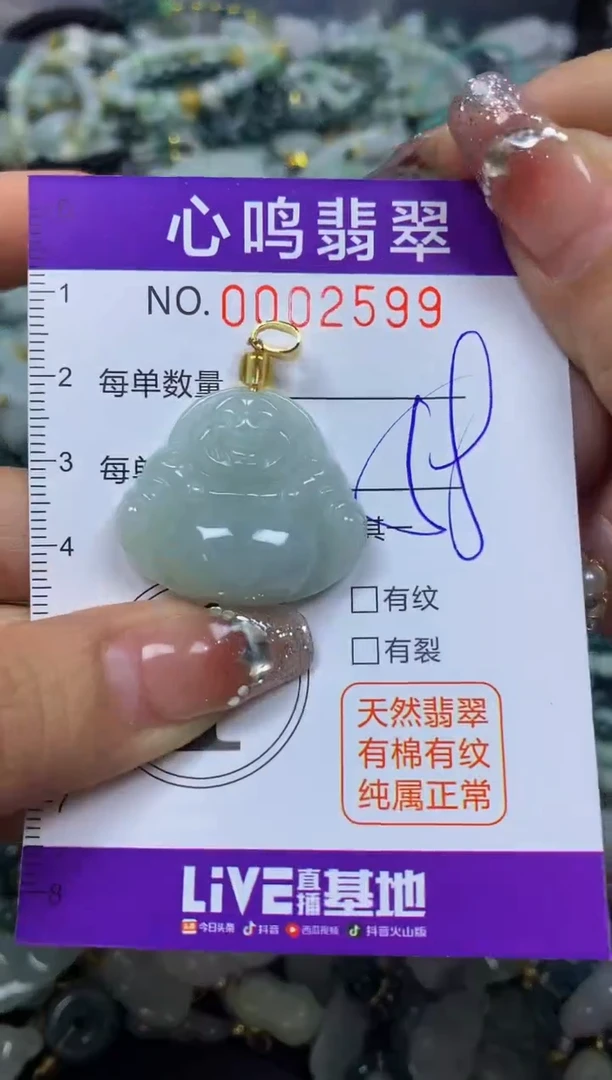 【闪购商品】翡翠颈饰未镶嵌闪购002599