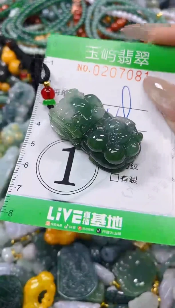 颈饰未镶嵌翡翠闪购0207081