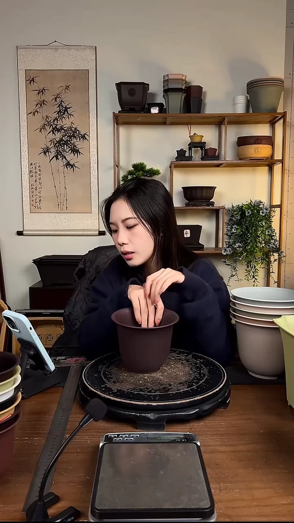 10只15口径金钟紫檀色