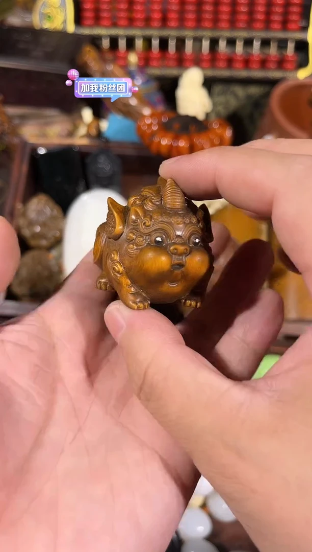 黄杨木11111111111111111111