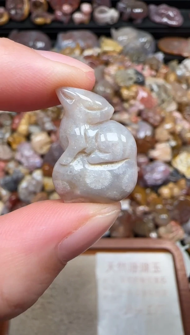 颈饰未镶嵌硅化珊瑚（珊瑚玉）716