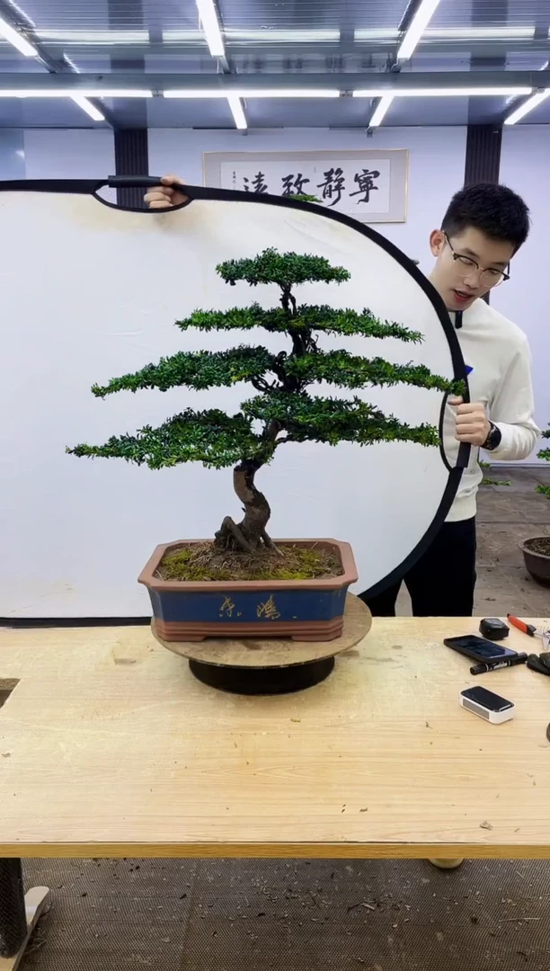 无花朵0000000000000000