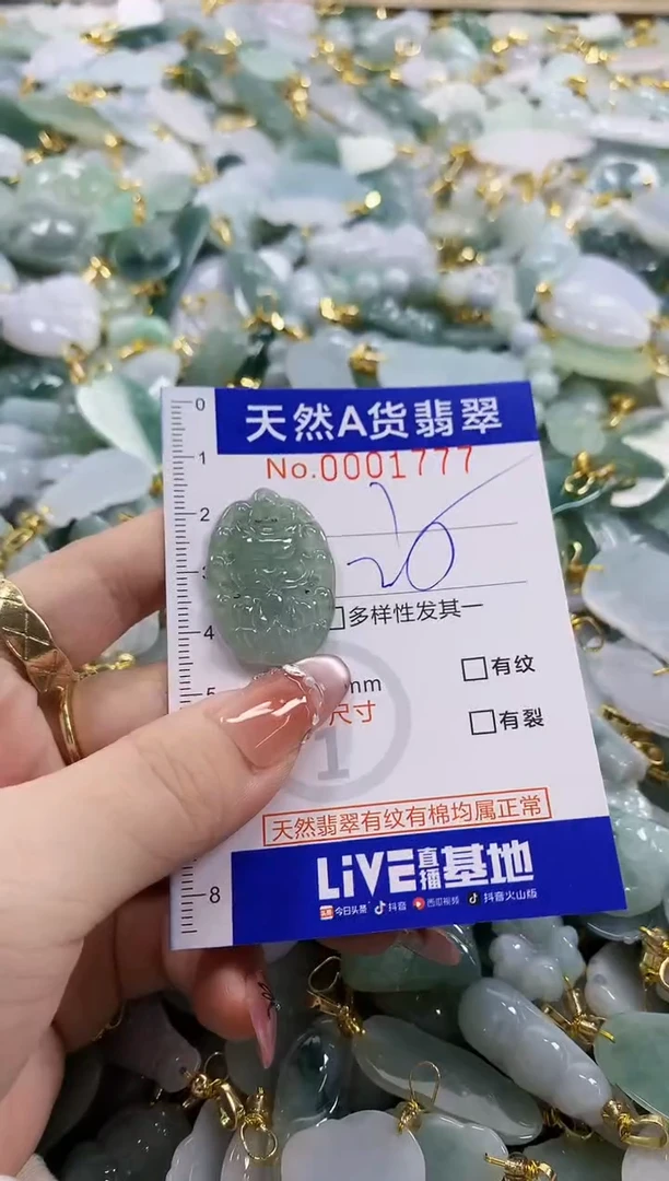 颈饰未镶嵌翡翠天然A货翡翠