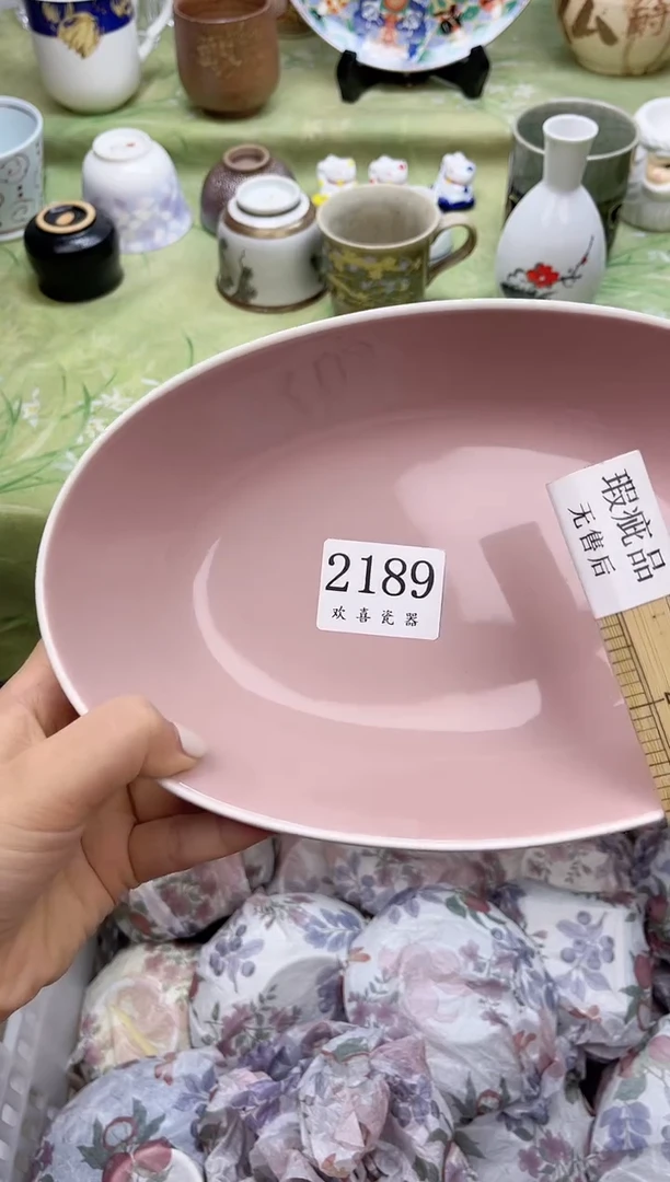 瓷片钠*           2189