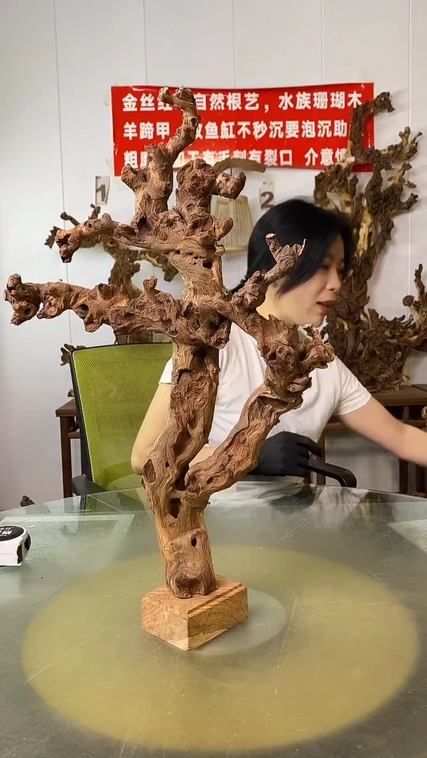 香榧木清*金丝红木 羊蹄甲