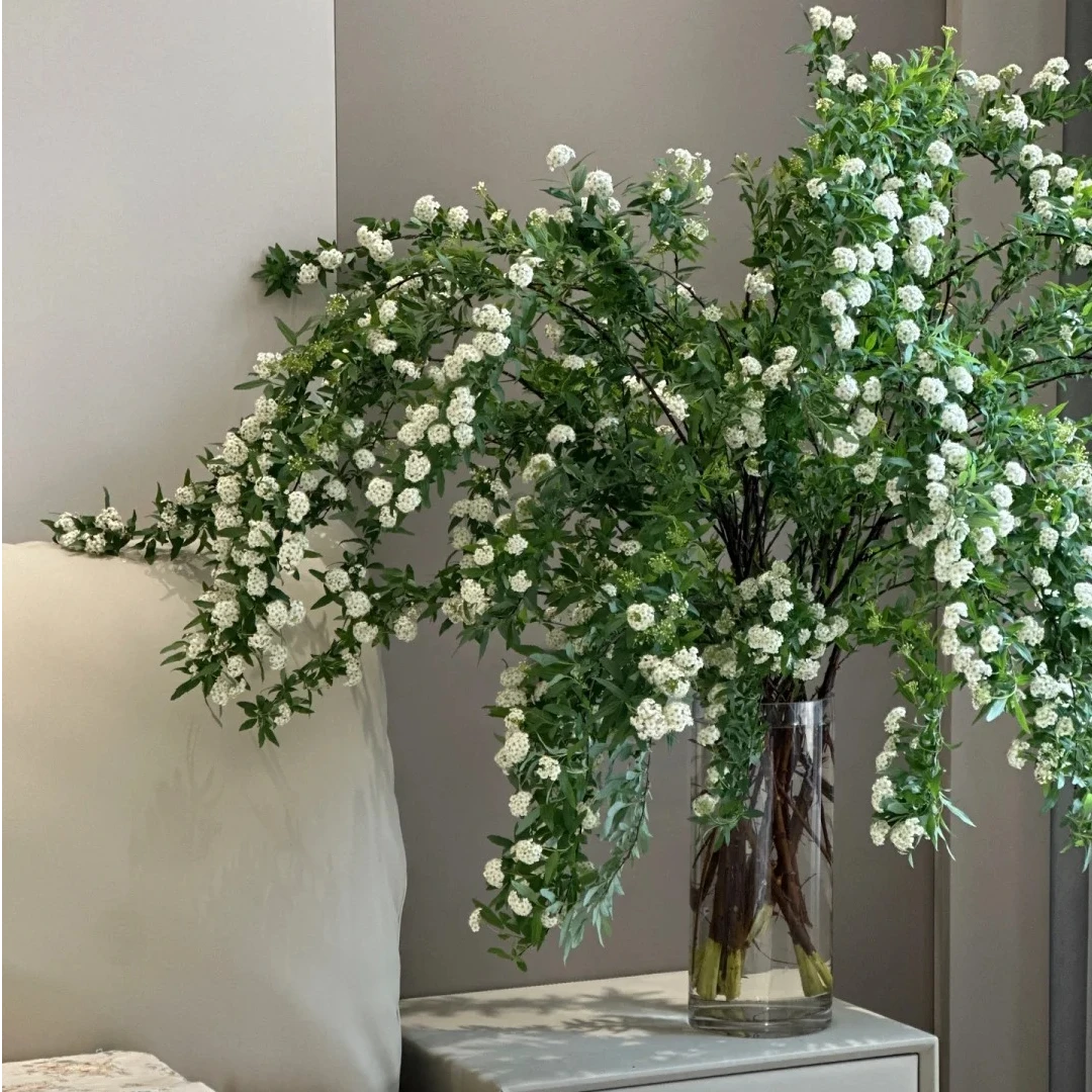 花福十花边新闻-小手球1扎