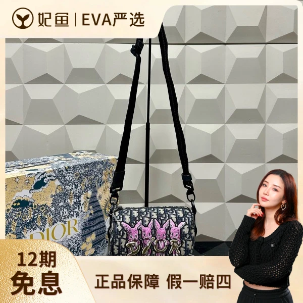 包包/迪奥/95新/C14046933263/250717EV0019