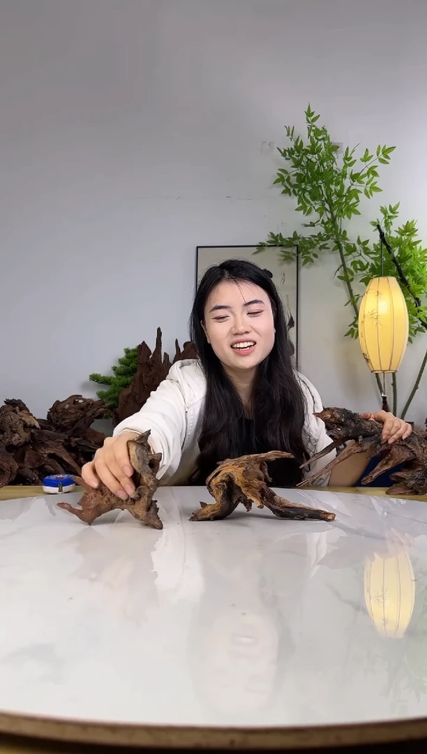 神****®拍沉木定向链接编号67-2