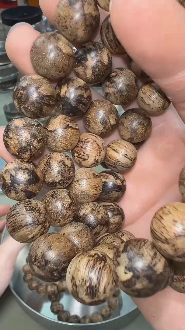 越南芽庄黑豹都蓬13mm单圈多样性发其一