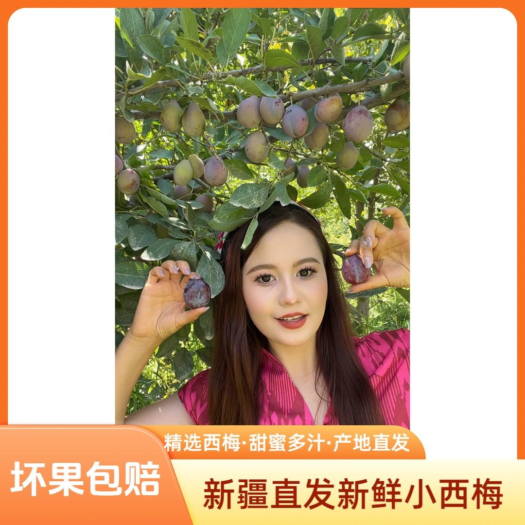 【新疆直发】京东空运新疆法兰西小西梅纯甜无酸新鲜西梅