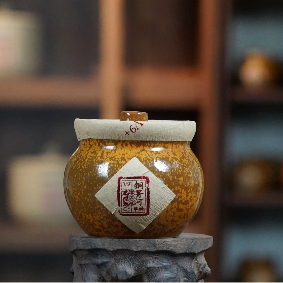 铜箐河单株V9+ 2026年 龙珠茶 生茶 普洱茶春茶沱茶