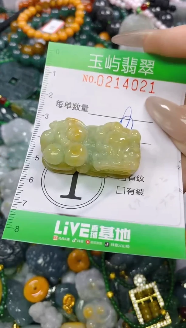 颈饰未镶嵌翡翠闪购0214021