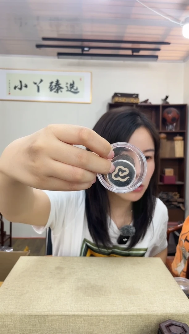 乌木类端景台518挖木木塑料木块摆件木木木2g+
