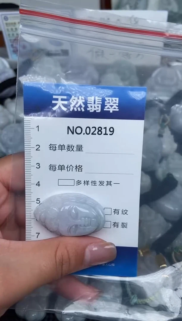 颈饰未镶嵌翡翠纯天然A货翡翠2819