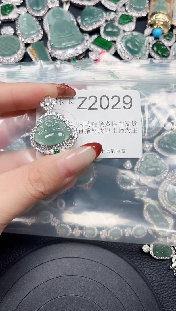 【闪购商品】翡翠颈饰未镶嵌赠皮绳2029