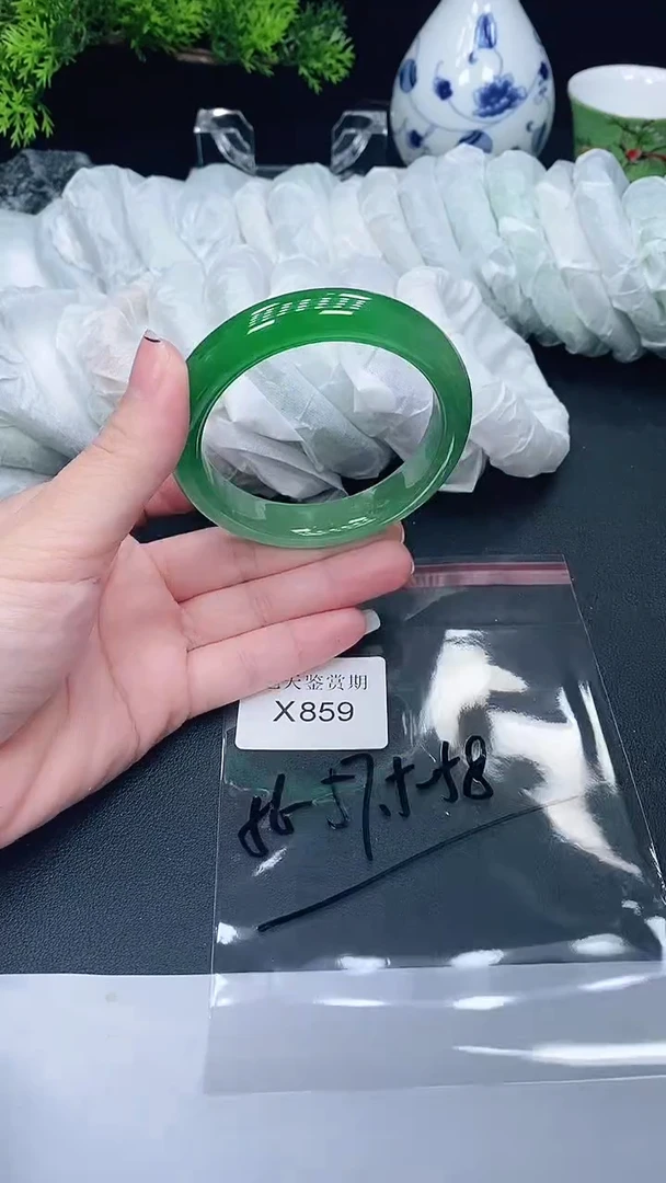 未镶嵌手镯翡翠859