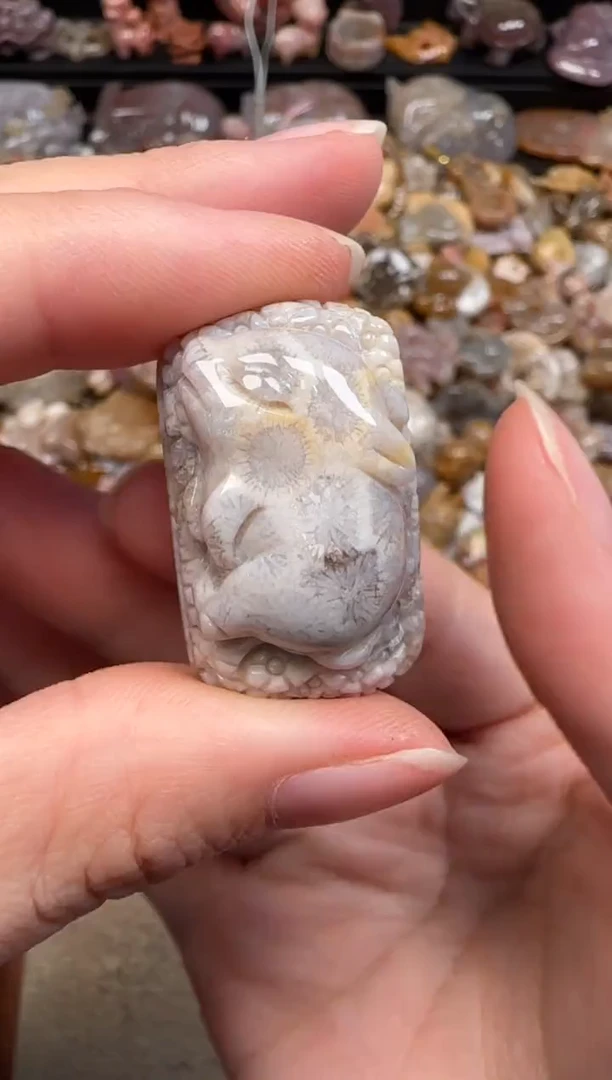 硅化珊瑚（珊瑚玉）未镶嵌颈饰336