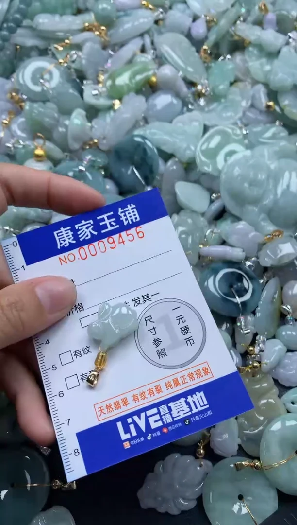 颈饰未镶嵌翡翠9456