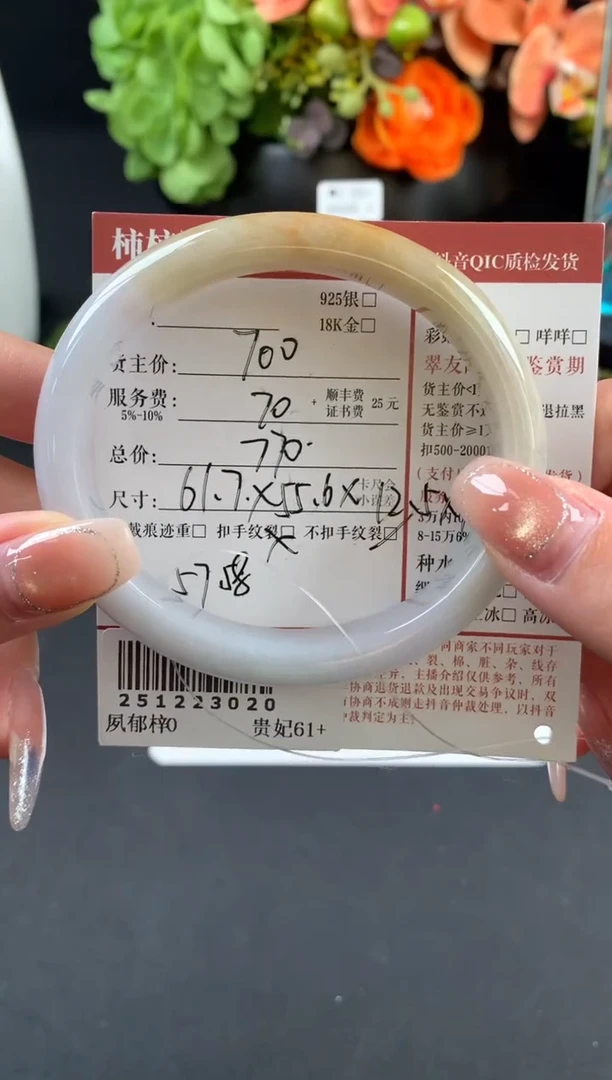 未镶嵌手镯翡翠姐姐251223020