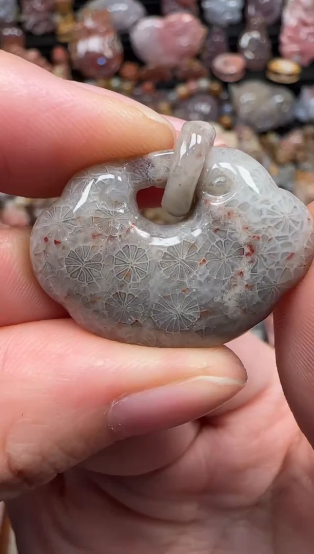 颈饰未镶嵌硅化珊瑚（珊瑚玉）208