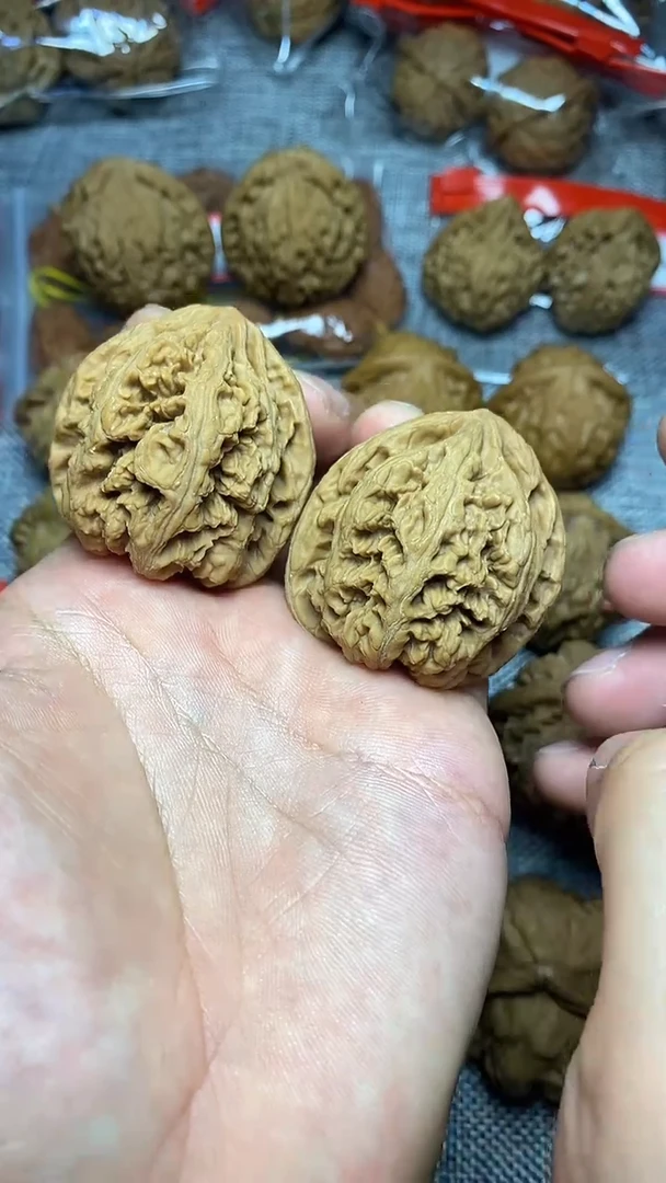 木质高桩山地果大粗筋