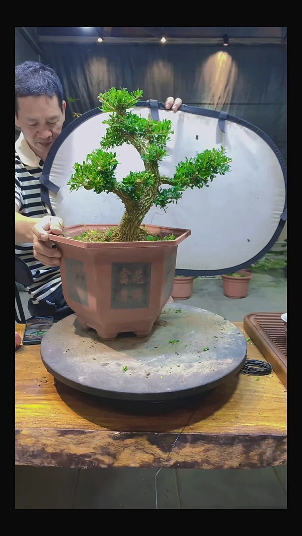 完全开放大*哥1111111111