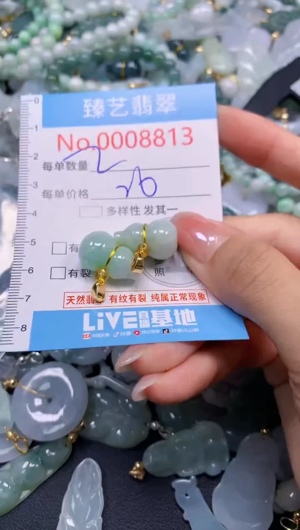 颈饰未镶嵌翡翠8813