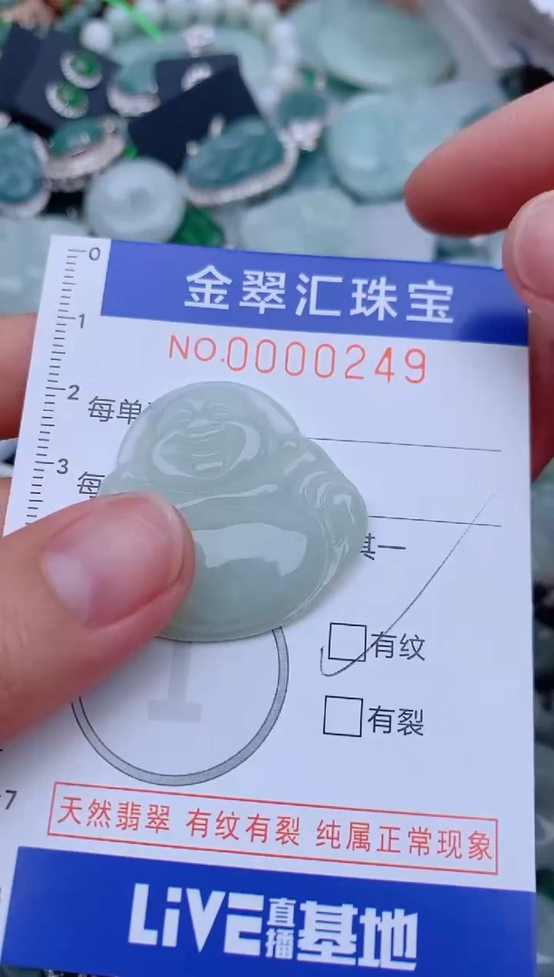 翡翠未镶嵌颈饰249.....