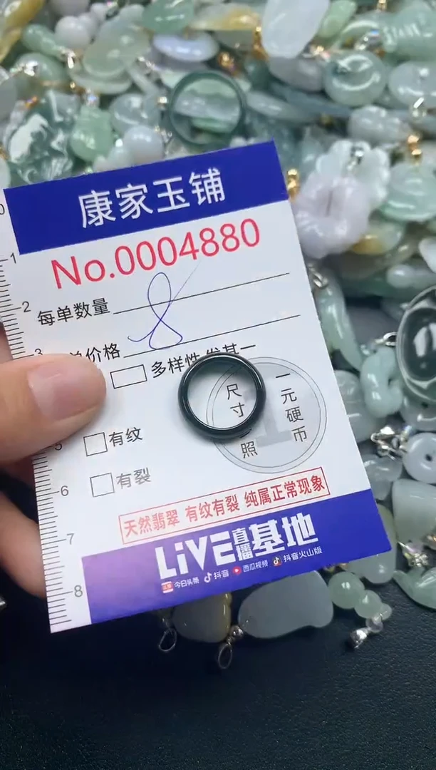 颈饰未镶嵌翡翠4880