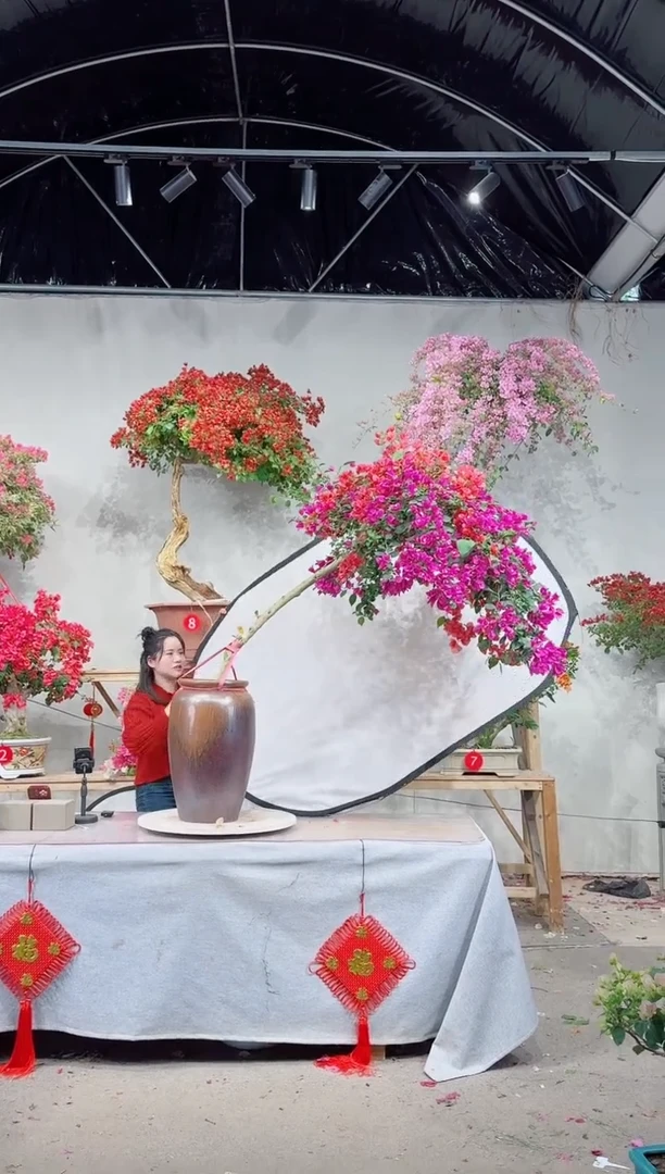 【闪购商品】盆景双色拼接