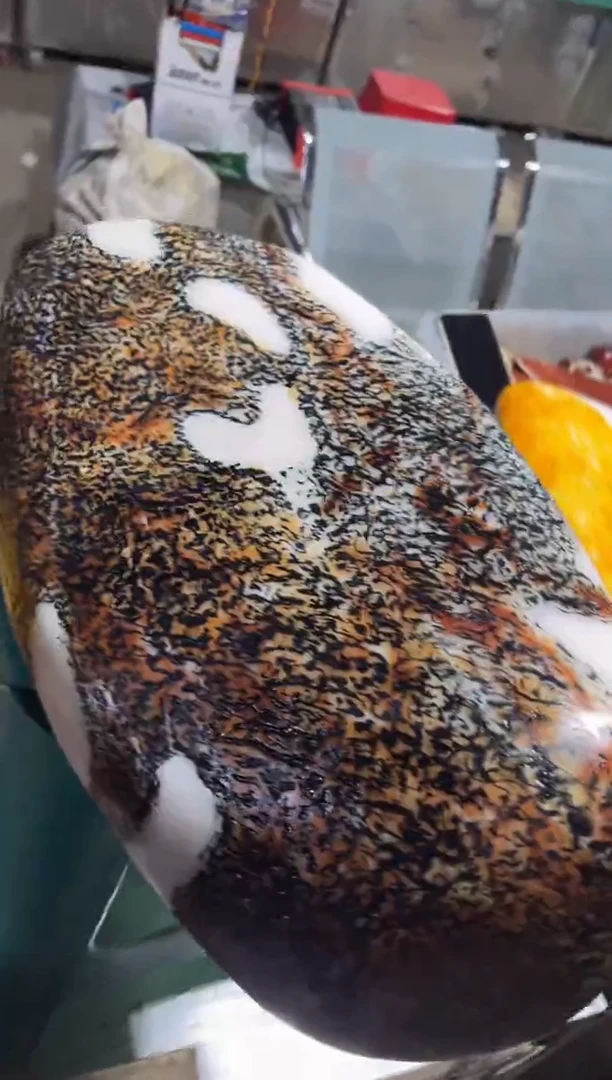 颈饰未镶嵌和田玉（青白玉）1